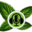 mintcast.org-logo